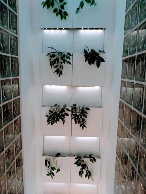 Luxury Complete Building In The Heart Of セビリア エクステリア 写真